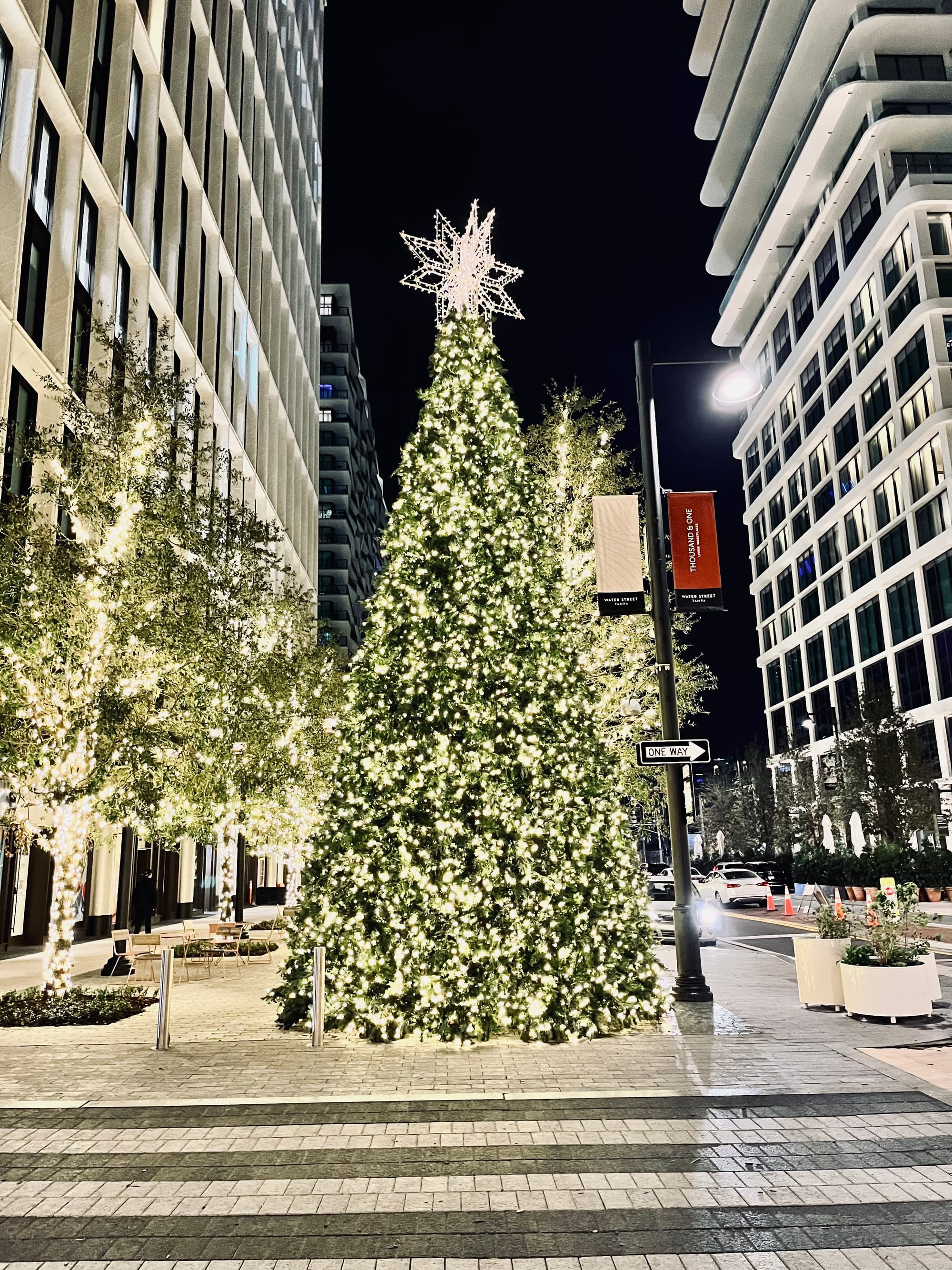 christmas tree, street signs, trees, lights, buildings