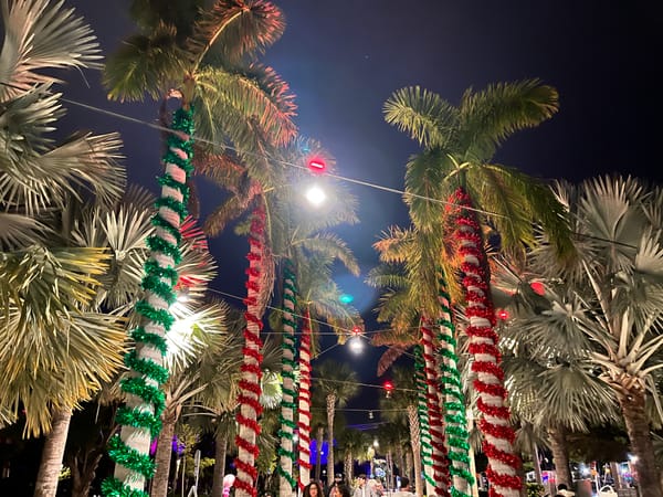 palm trees, lights, garland, christmas